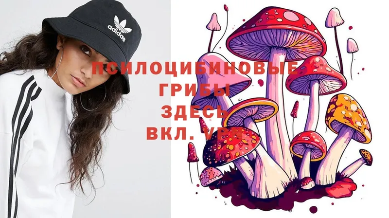 Галлюциногенные грибы MAGIC MUSHROOMS  Шахты 